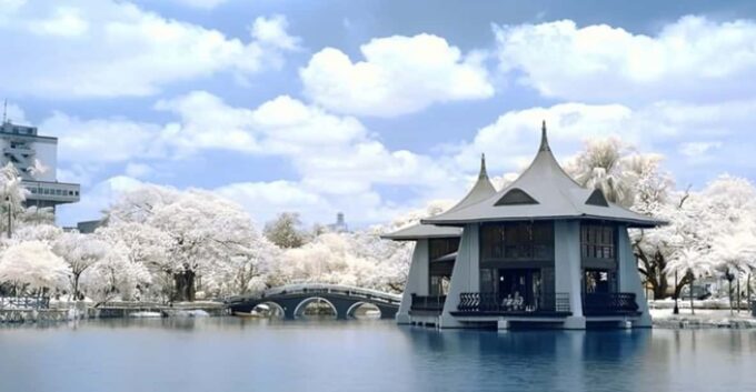 Taichung City: Sightseeing Walking Tour With a Local Guide - Pickup and Accessibility