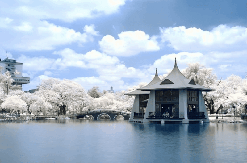 Taichung City: Sightseeing Walking Tour With a Local Guide - Itinerary Highlights