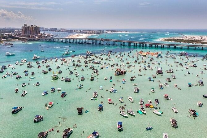 TAILFINS Destin Dolphin Cruise & Crab Island Sandbar - Customer Reviews and Ratings