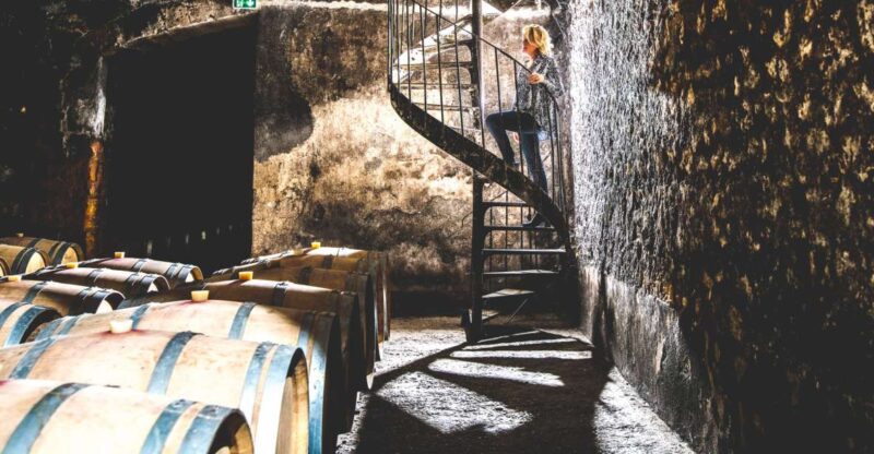 Taillan-Médoc: Château Visit and Wine Tasting in Bordeaux - Overview of the Experience