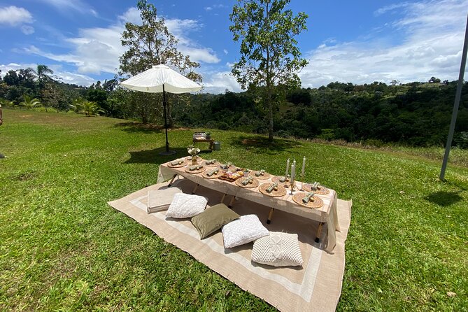 Tailor Made Luxury Picnics - Vida Vistas - Private Beach Picnic Option Available