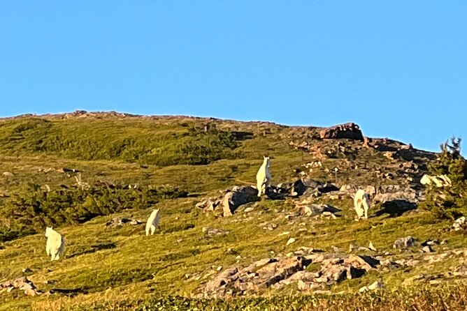 Tailored Adventures: Discover Nature & Culture (Up to 10 Guests) - Exploring the Region