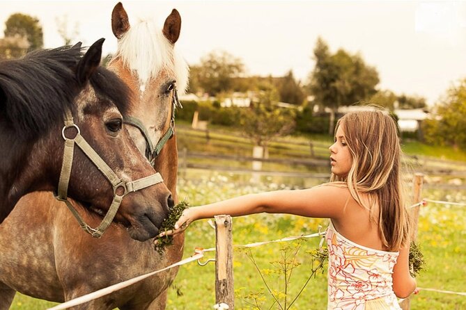 Tailored Fun and Private Photo Shoot in Vienna - Customizing the Experience