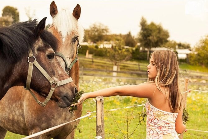 Tailored Fun and Private Photo Shoot in Vienna - What to Expect