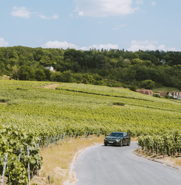 Tailormade Experience in Champagne - Key Points