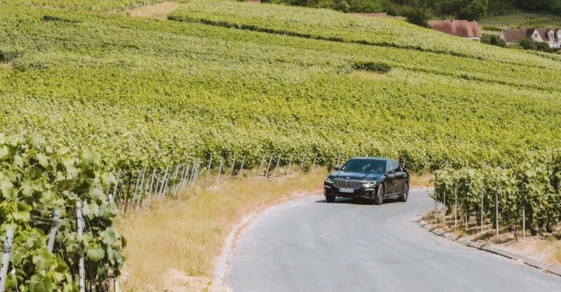 Tailormade Experience in Champagne - Booking and Availability Information