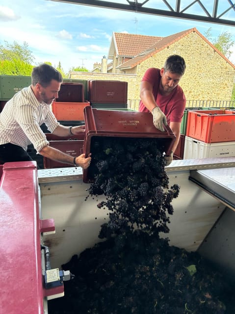 Tailormade Experience in Champagne - Highlights of the Tour