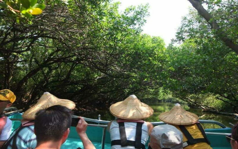 Tainan: Sicao Green Tunnel Scenic Boat Ride - Key Points