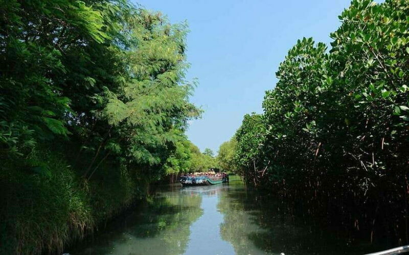 Tainan: Sicao Green Tunnel Scenic Boat Ride - An In-Depth Look at the Sicao Green Tunnel Experience