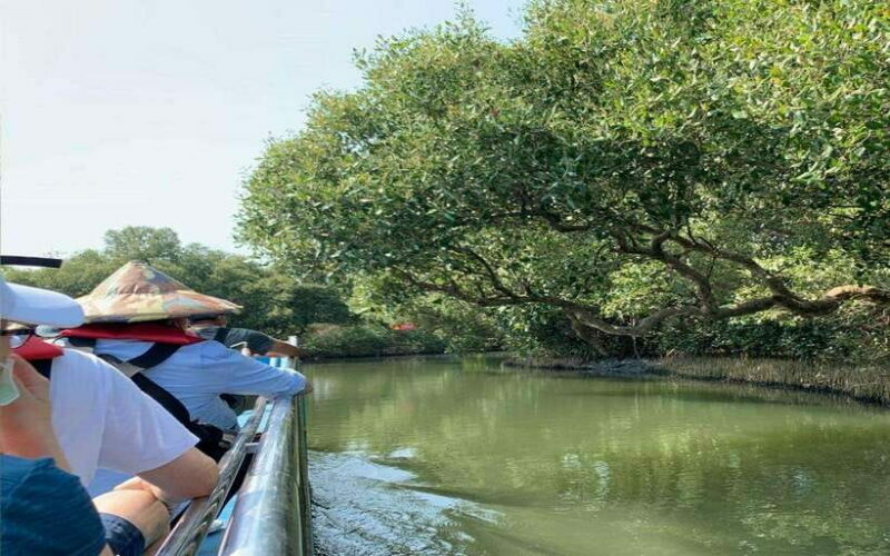 Tainan: Sicao Green Tunnel Scenic Boat Ride - FAQ