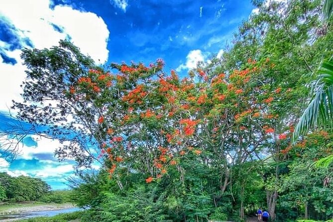 Taino Bay & Amber Cove 7 Damajagua Waterfall Lunch Excursion - Duration and Location