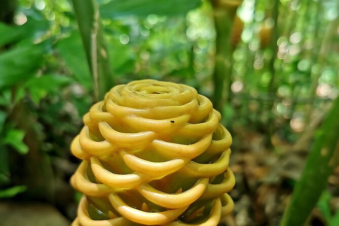 Taino Valley Tropical Park Puerto Plata Tubagua - Operating Hours