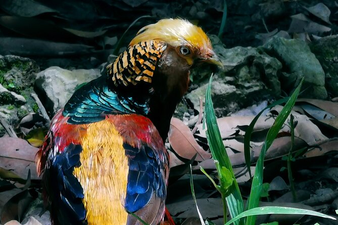 Taino Valley Tropical Park Puerto Plata Tubagua - Accessibility and Fitness