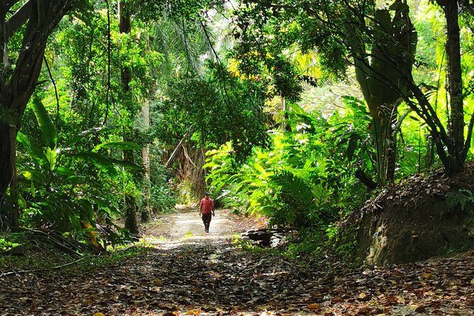 Taino Valley Tropical Park Puerto Plata Tubagua - Cancellation and Payment