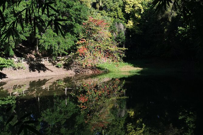Taino Valley Tropical Park Puerto Plata Tubagua - Additional Details
