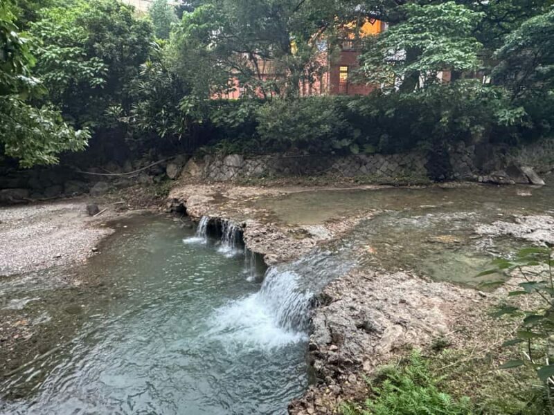 Taipei: Beitou Hot Springs and Heritage Walking Tour - The Experience: Authenticity and Value