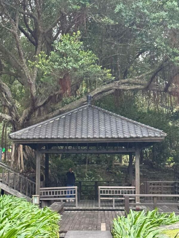 Taipei: Beitou Hot Springs and Heritage Walking Tour - Frequently Asked Questions