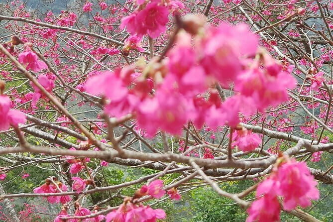 Taipei City to Taoyuan Airport Private Transfer - Pricing and Value