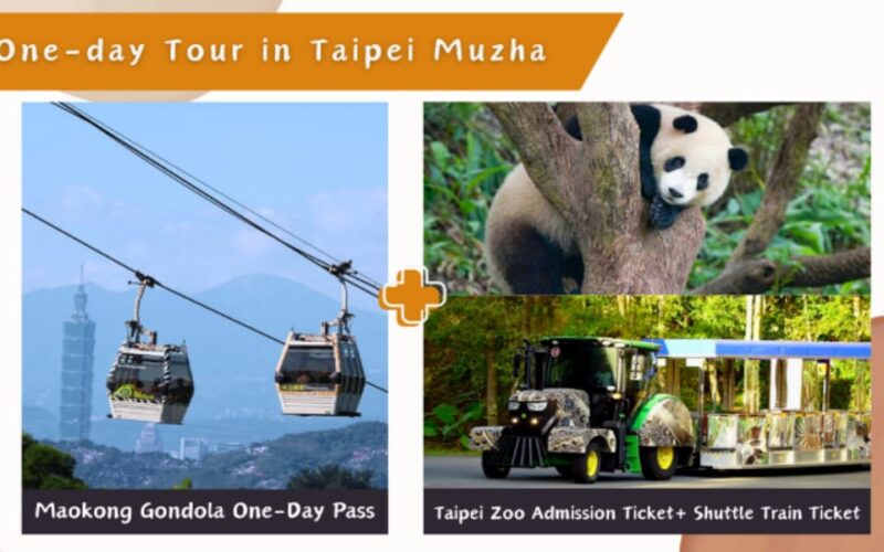 Taipei Makong Cable Car: Ticket & Combos - Key Points