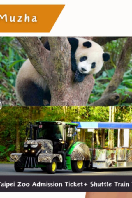 Taipei Makong Cable Car: Ticket & Combos - Tea Culture Immersion