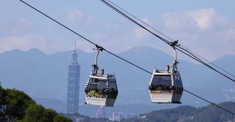 Taipei: Maokong Cable Car & Taipei Zoo or Taiwan Tea Combo - Taipei Zoo