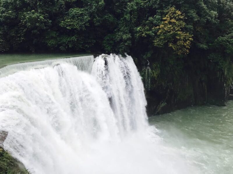 Taipei: Private City Sightseeing Tour With Driver - Customer Reviews