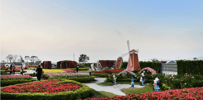 Taipei-Taichung-Taipei Private Day Trip - Transportation and Guide
