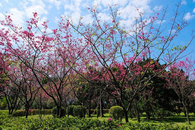 Taipei Timeout: Private 8-Hour Layover Adventures - A Close Look at the Itinerary