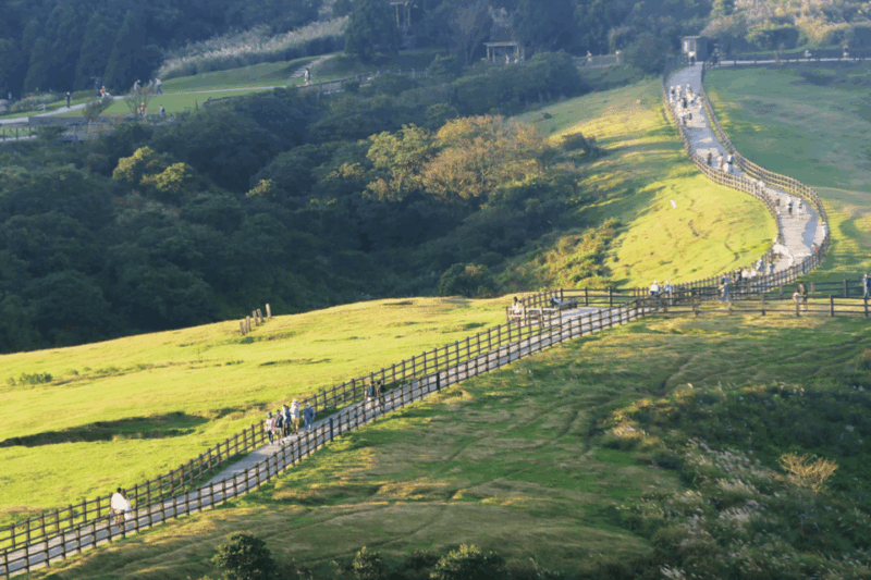 Taipei: Yangmingshan & Beitou Full-Day Tour - Inclusions and Exclusions