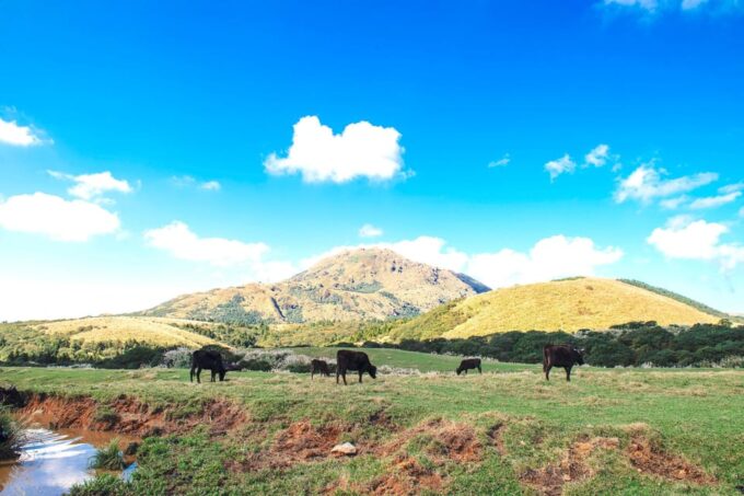 Taipei: Yangmingshan & Beitou Full-Day Tour - Yangmingshan National Park