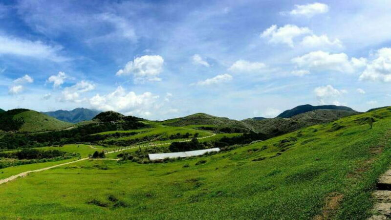 Taipei: Yangmingshan National Park Half-Day Tour - Exploring the Highlights of the Yangmingshan Tour
