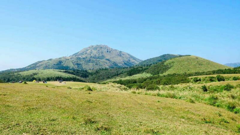 Taipei: Yangmingshan National Park Half-Day Tour - Authentic Experiences and Real-World Insights