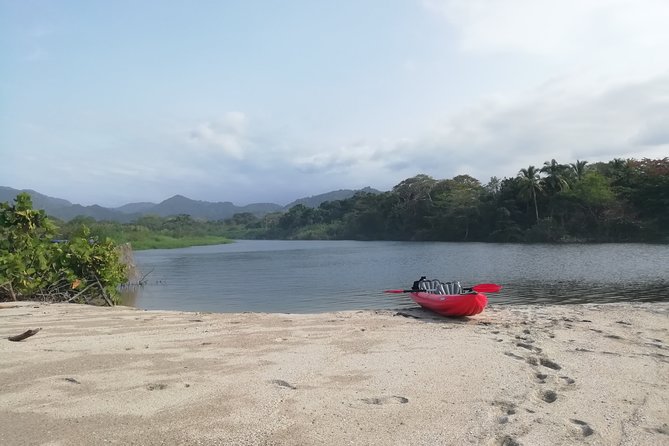 Taironaka Culture and Nature - Private Tour - Museum Showcasing Tairona Artifacts