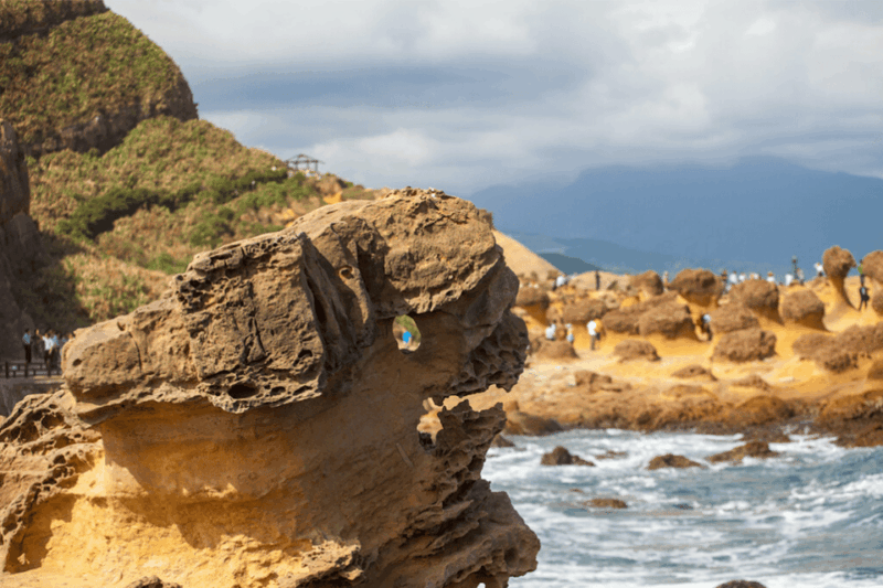 Taiwan Airport: Taipei City or Northern Taiwan Private Tour - Itinerary Highlights