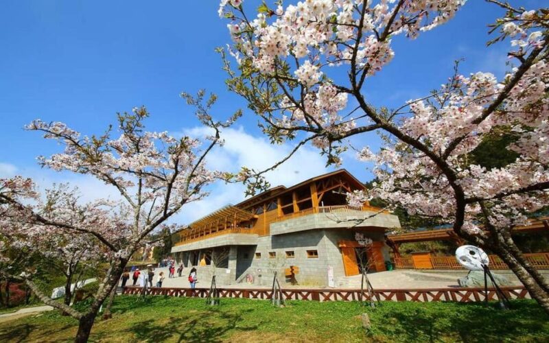 Taiwan: Alishan National Forest Recreation Area E-ticket - Key Points
