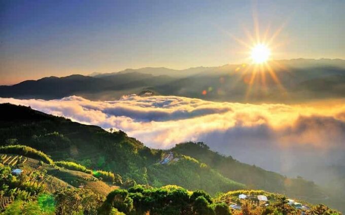 Taiwan: Alishan National Forest Recreation Area E-ticket - Historic Temples and Local Cuisine