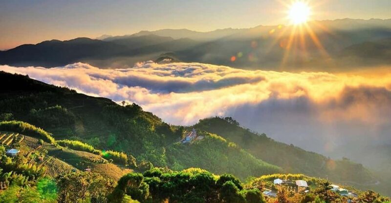 Taiwan: Alishan National Forest Recreation Area E-ticket - Experience Highlights