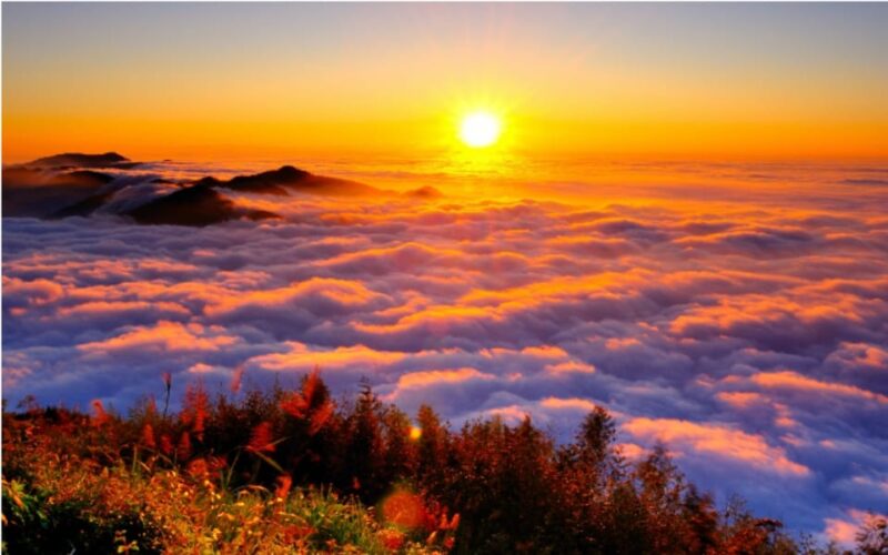 Taiwan: Alishan National Forest Recreation Area E-ticket - Natural Features and Wildlife