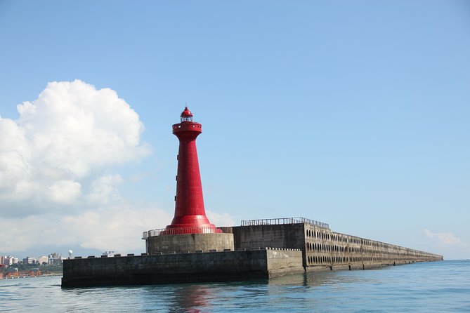 Taiwan Hualien Whale Watching Dolphin - Traveler Reviews and Feedback