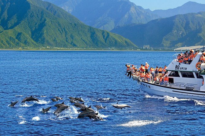 Taiwan Hualien Whale Watching Dolphin - Additional Information