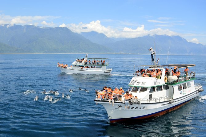 Taiwan Hualien Whale Watching Dolphin - Pickup and Meeting Points
