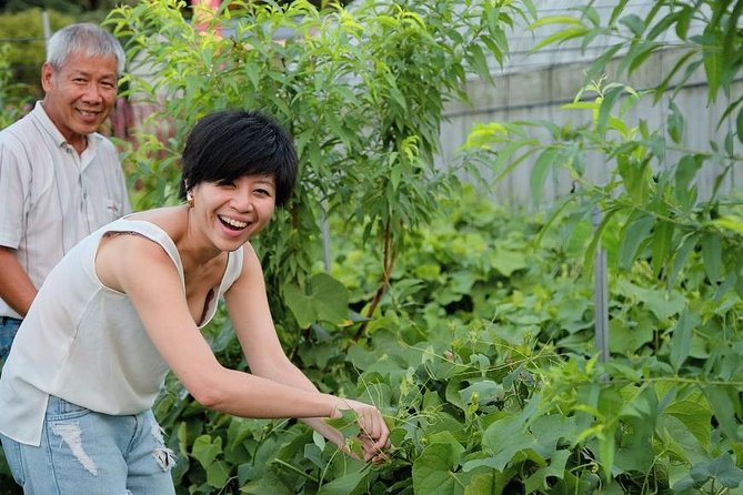 Taiwan Local Tofu DIY Experience in Daxi - Local Farm Visit