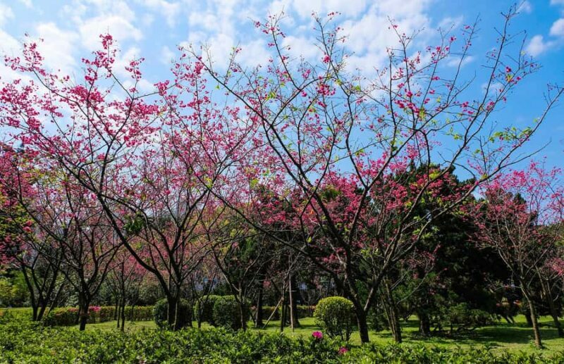 Taiwan Taipei: 8-Hour Customized Taipei City Exploration! - Key Points