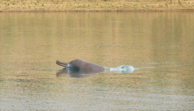 Taj Mahal & Chambal River Safari: A Two-Day Delhi Getaway - Accessibility and Group Options