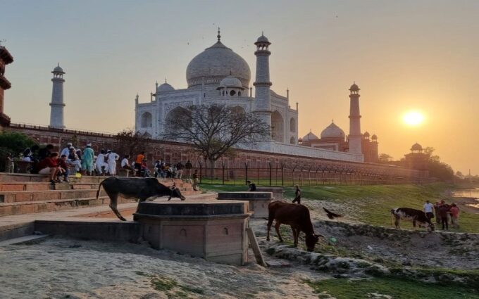 Taj Mahal Experience Guided Tour With Lunch at 5-Star Hotel - Supplementary Services