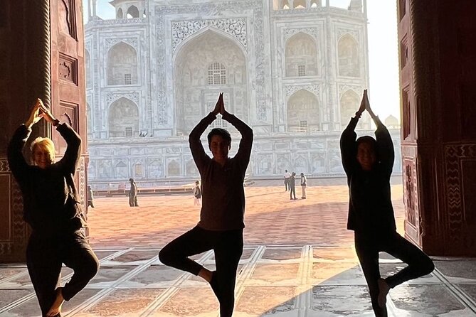 Taj Mahal Skip the Line Luxury Tour With Guide - Pricing