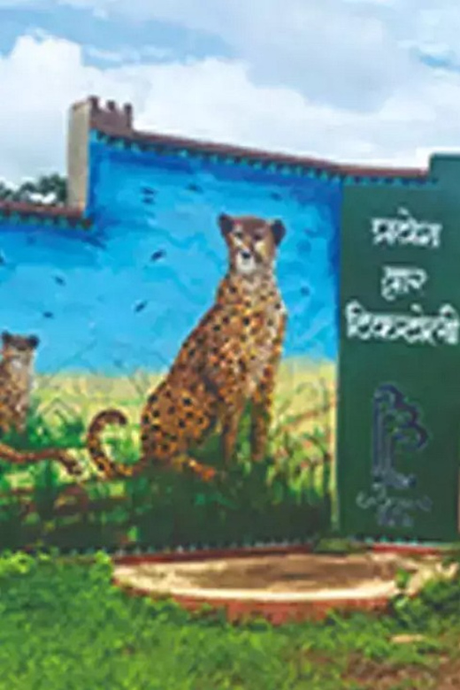 Taj Mahal Tour With Kuno National Park Safari Tour 6n/7d - Inclusions