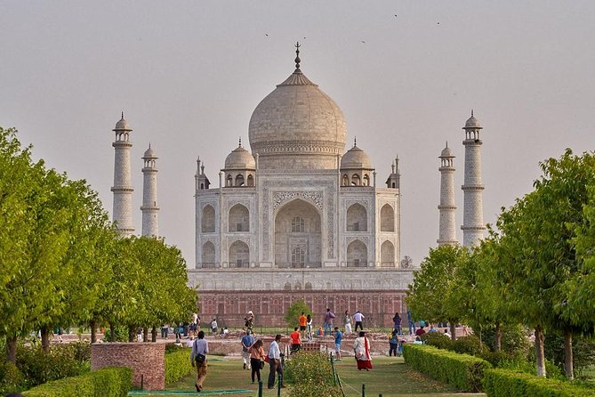 Taj Mahal Tour With Wildlife Sos-Elephant Conservation From Delhi - Wildlife SOS Elephant Conservation