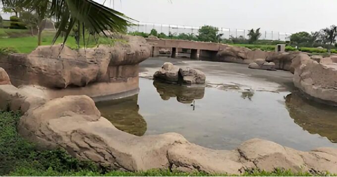 Taj Mahal With Etawah Wildlife Safari Tour 04 Days 03 Nights - Inclusions and Information