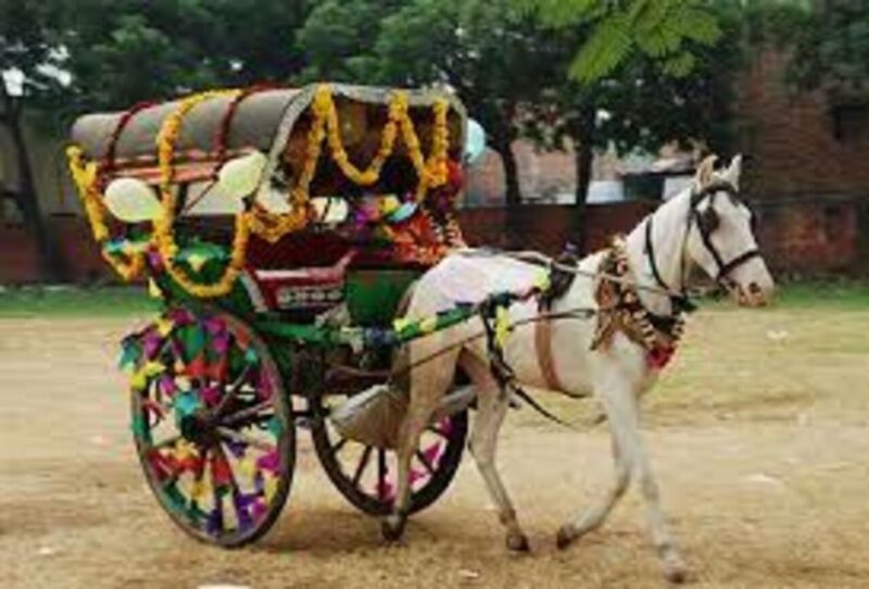 Tajmahal Tour With Tuktuk,Camel & Horse Cart - Itinerary Highlights